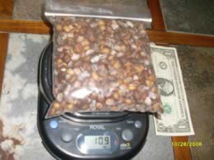Roasted & Salted New Mexico Pinon Nuts – 1 Lb Bag, 2024 Crop, USA Grown